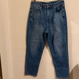 American Eagle Outfitters Stretch Ankle Blue Denim Jeans